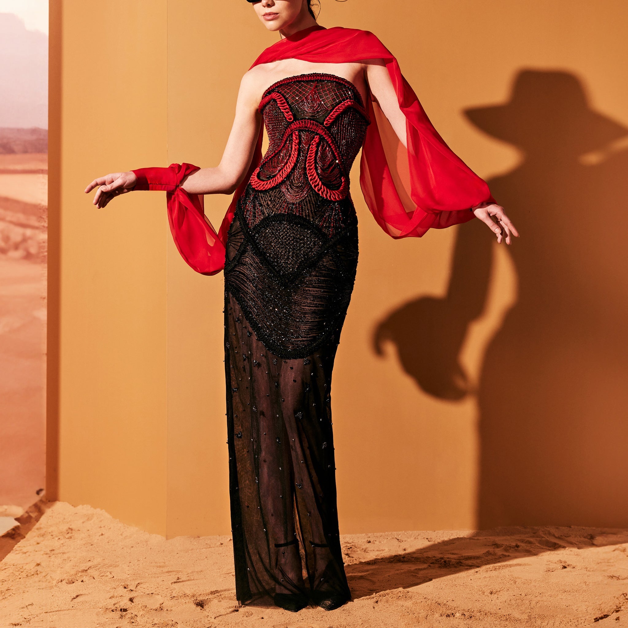 Rubin Red Dress With Black Tulle Skirt by Tony Ward