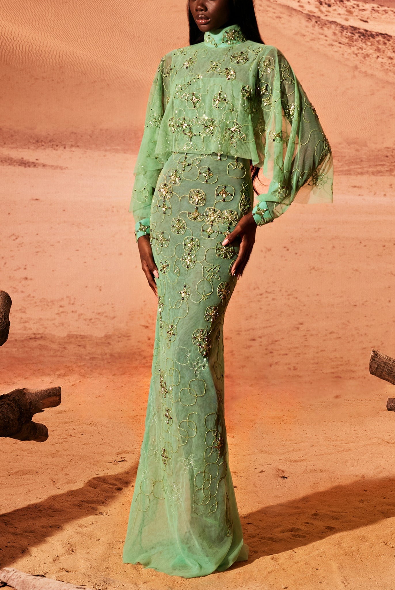 Water Green Tulle Dress With Short Cape by Tony Ward