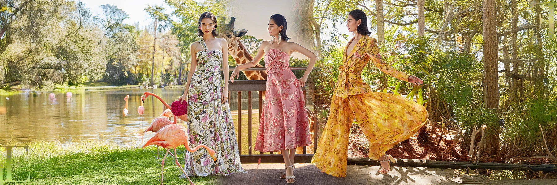 Belle badgley mischka beaded neck best sale chiffon dress