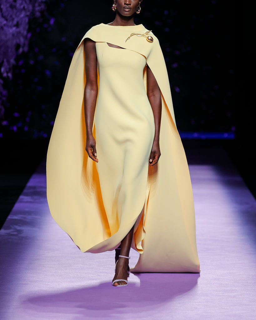 Tamir Model Dress