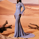 Blue Serenity Sheer Dress With Feathers by Tony Ward
