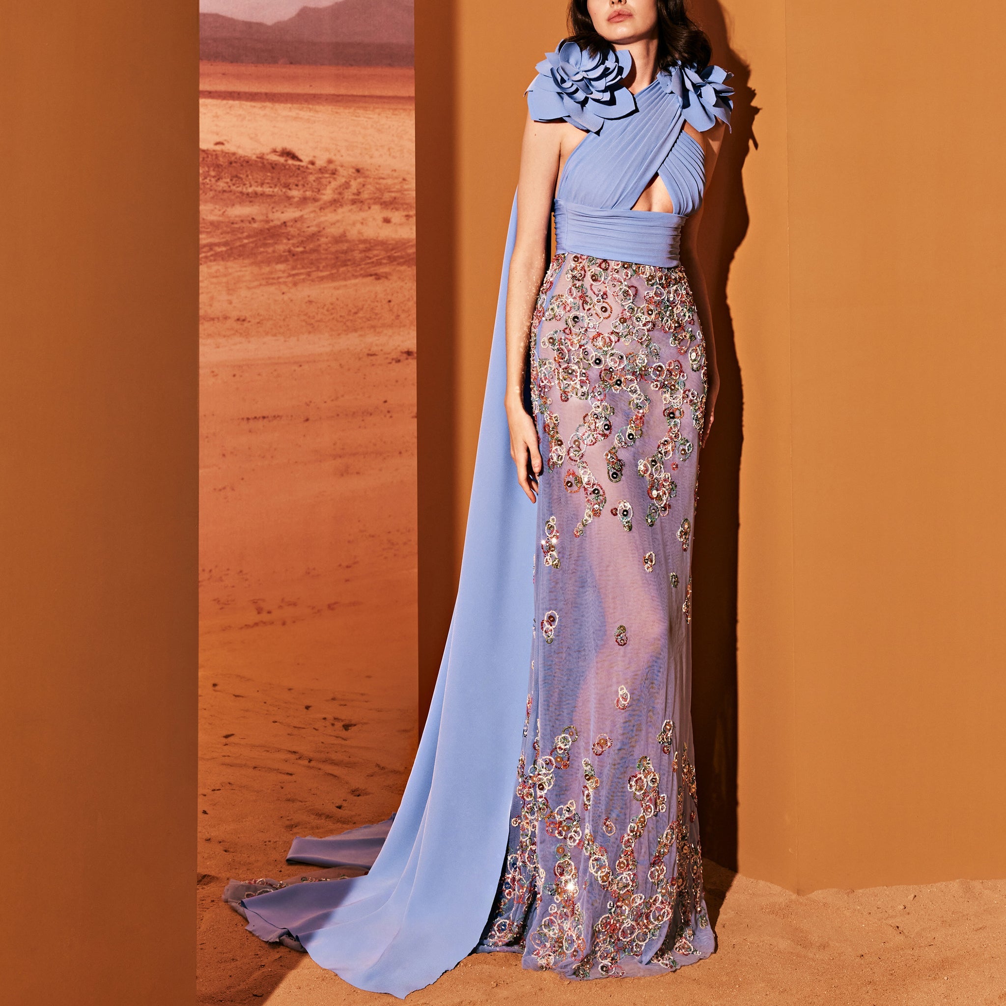 Crepe Dress With Sheer Tulle Skirt by Tony Ward