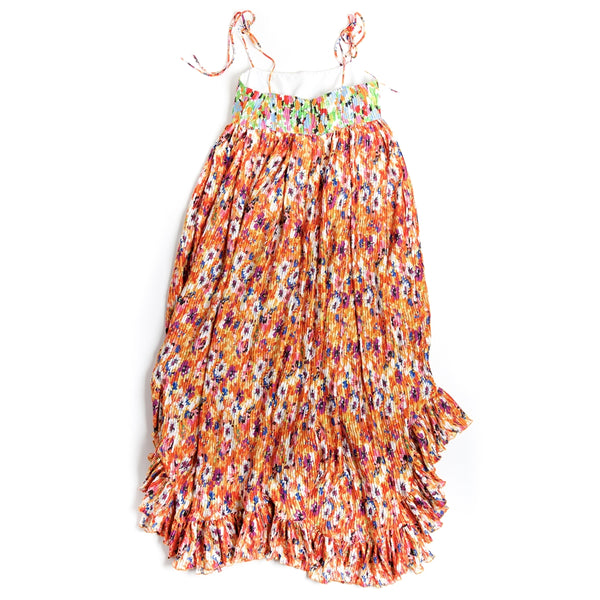 Multicolor Floral Print Pleated Maxi Dress